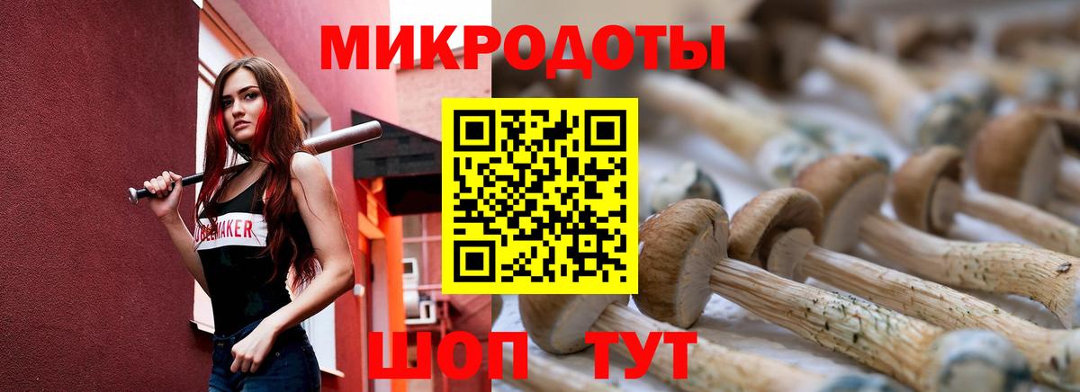 Галлюциногенные грибы Cubensis Волжский